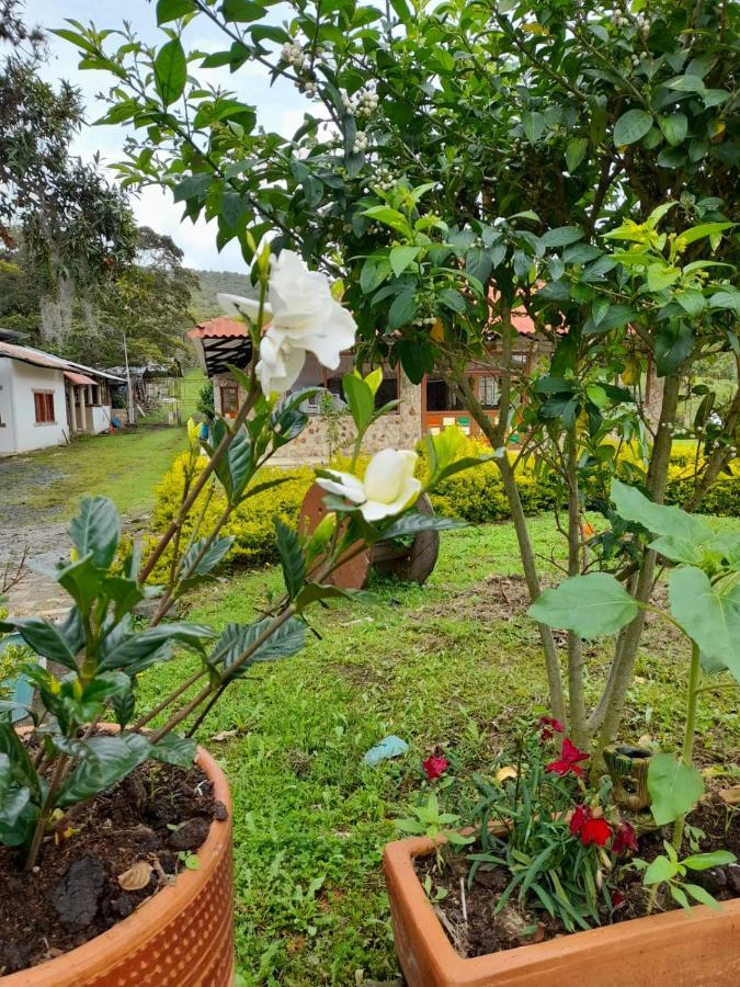 Homestay El Paraiso
